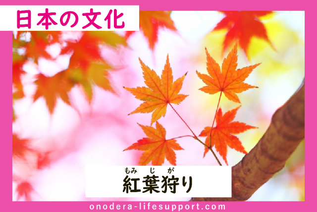 Maple Leaf Viewing (Momijigari)